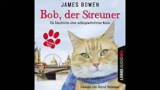 James Bowen, Bob, der Streuner - Die Geschichte einer au&szlig;ergew&ouml;hnlichen Katze