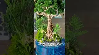 🌿Moss 2.0 &mdash; от новичка до профи💪 🚀 Старт &mdash; 12 февраля‼️Присоединиться можно по ссылке👆в описании