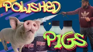 Polished Pigs Review I Snow Foam | Shampoo | Spray Wax | Great Dilution Ratios | Auto Detailing