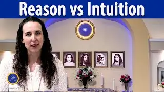 Reason vs. Intuition (With Erin Vinacco)