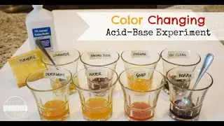 Acidic & Basic Experiment without Litmus Paper | Mann Butani |