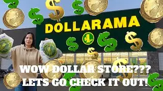 Dollarama Store Tour & New Finds and Favorites