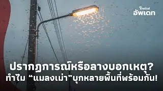 รู้แล้ว! สาเหตุ 