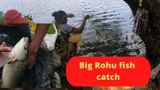 Traditional Hook Fishing | Fish Hunting | Catching the Rohu fish | Fishing in Mumbai|
