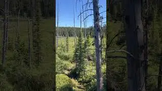 Canadian waters and woods. #Fishing #Nature #Wildlife #Forest #Jesus is king #Country #Canada ￼