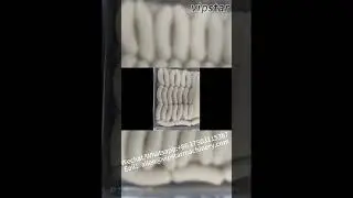 Vacuum Filler/Vacuum Stuffer #foodmachine #foodprocessingequipment #machinerytechnology #factory