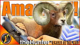 The NEW Bighorn Diamonds are AMAZING!!! | theHunter Call of the Wild
