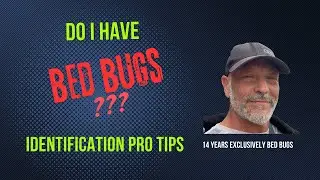 Bed Bugs Detection: Unmasking the Unseen Invaders by a Pro