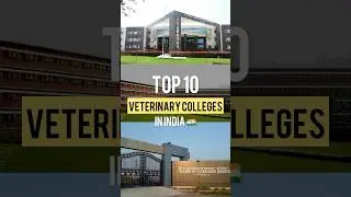 Veterinary Colleges in India BVSc&AH #neet #vci #veterinary #vet #top10 #college #trending #viral