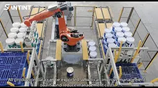 Automatic Stone Paint Filling and Palletizing Production Line