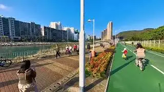 將軍澳跨灣大橋風景