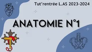 TR L.AS 2023-2024 - Cours d'Anatomie n°1