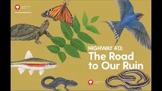Paving Over Paradise: How Highway 413 Threatens Ontario's Endangered Species