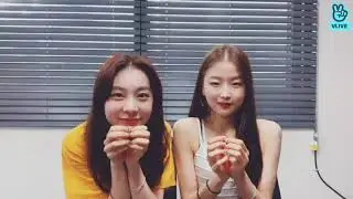 6 minutes of bvndit's yiyeon being cute and funny