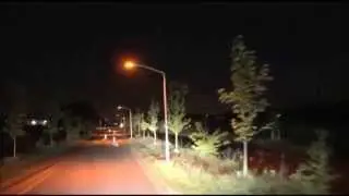 Les chauves-souris sous le projecteur - Nuit des Chauves-Souris 2014