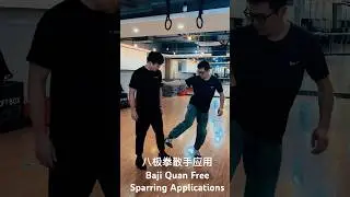 八极拳散手应用Baji Quan Free Sparring Applications #kungfu #八极拳 #太极拳 #少林功夫 #道家 #武当山 #防身術 #健身 #传统文化