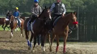 Jerry Hollandorfer discusses Songbird's return