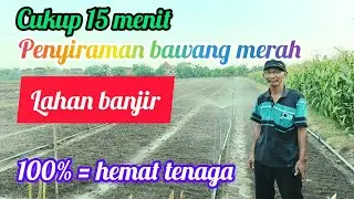 UJI COBA SMART FARMING PENYIRAMAN SPRINGKLER