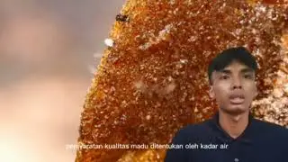 standard codex alimentarius pada produk pangan madu