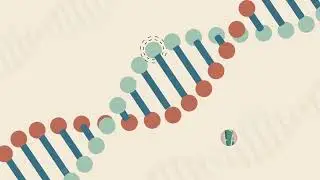 Iovation: Fraud and Authentication Video