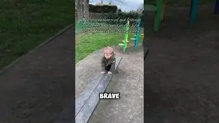 Самое прекрасное взаимодействие отца и сына