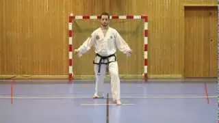 Saju Chagi