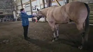 January 9th 2026 Roxanne Dewes and Badgers Lil Nugget  Ranch Confirmation 