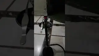 SHISHA NIGHT #shortvideo #shorts #shisha #shishacafe