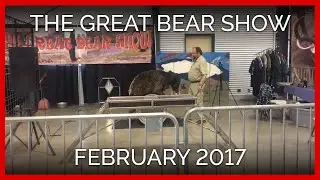 The Great Bear Show, February 2017