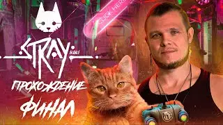 Прохождение Stray  ➢ ФИНАЛ (Странное послевкусие) ✪ [Стрей] На [PS5, FULL HD] ✪
