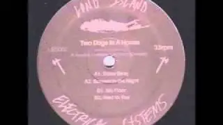 Two Dogs In A House - Scream In The Night