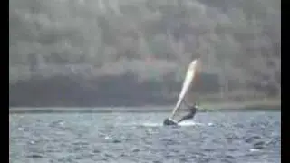 wb racing 6.3+falcon110