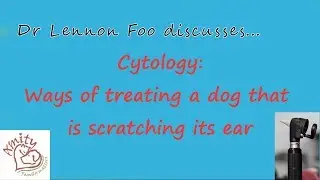 Cytology: Ways of Treating a Dog That is Scratching its Ear or Shaking its Head