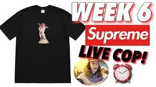 SPRING TEES CASHOUT! Supreme S/S '19 Week 6 Live Cop!