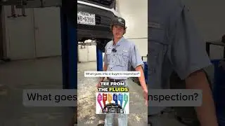 What goes into a pre-purchase inspection?