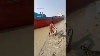 Amazing village Fishing time  #riverside #foryouシ #reels #Amazing #bigfish #fish
