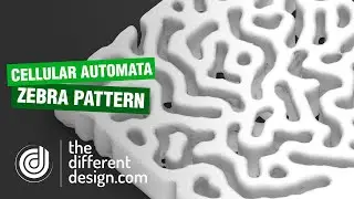 Cellular Automata Zebra Patterns
