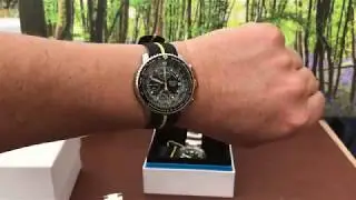 Seiko Flightmaster sna411 Review (flighty)