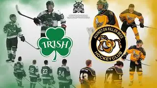 STRATFORD IRISH VS ALVINSTON KILLER BEES - NPHL Metro Game of the Week