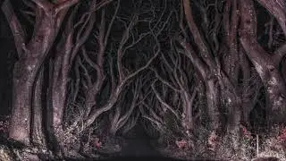 Dark jungle. hard trap beat.