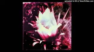 princ 132BPM [@kaizzr_ @prodaotb]