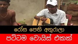 Rosa pethi Athurala Cover by New version |  Guitar | රෝස පෙති අතුරාලා