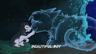 Beautiful Boy | Warriors Oc PMV