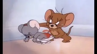 Tom and Jerry Cartoon Best of Tuffy English episodes (tom et jerry)