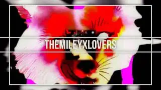 PROMO - RMEIXLIGHTERS