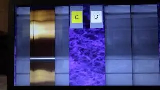 Animated: Schindler Miconic 10 Elevators @ Astian Waikiki Beach Hotel Hawaii Island