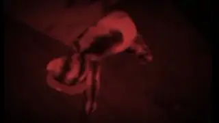 Dis Cheeto tubby scared me irl 😂 (Slendytubbies funny moments)