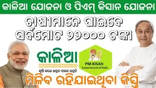 PM Kisan 9th/Kalia Yojana 5th installment/Farmer get Kalia Yojana and PM Kisan remain money