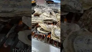 🇰🇷 Flame-Grilling Oysters on Korea's West Coast #korea #koreanfood #oysters