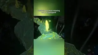 🥹🐉 Magical DRAGON Ride Through The Depths ✨ #tearsofthekingdom #shorts #zelda #gaming #gamer